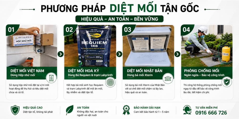 Cách diệt mối tận gốc hiệu quả