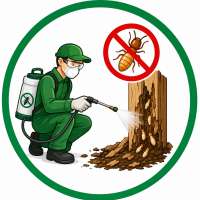 Dịch vụ diệt mối tận gốc