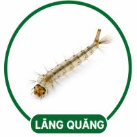 Diệt lăng quăng