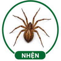 Diệt nhện