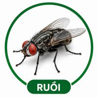 Diệt ruồi