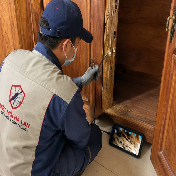Hình ảnh thi công diệt mối tận gốc tại công trình dân dụng ở TP.HCM