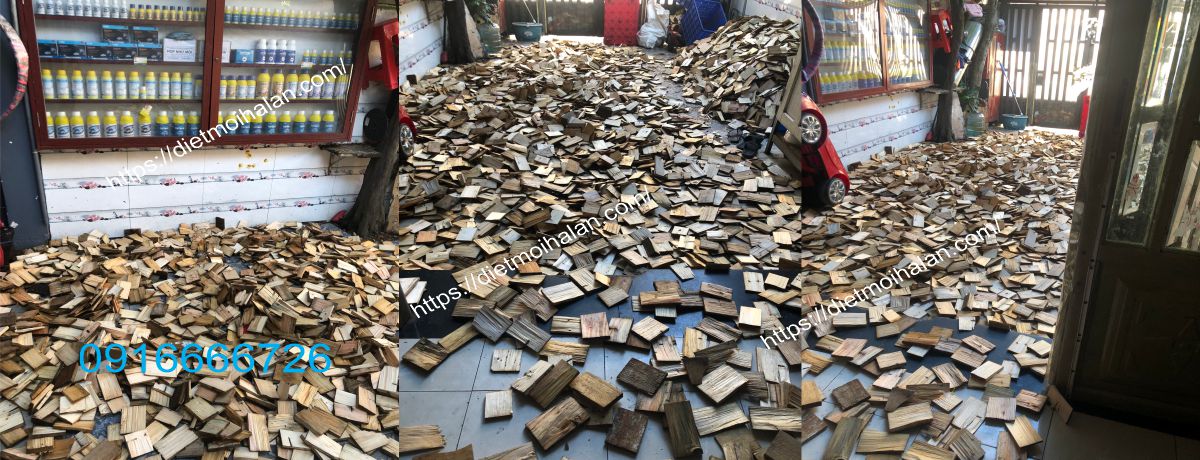 Cách làm Hộp Nhử Mối