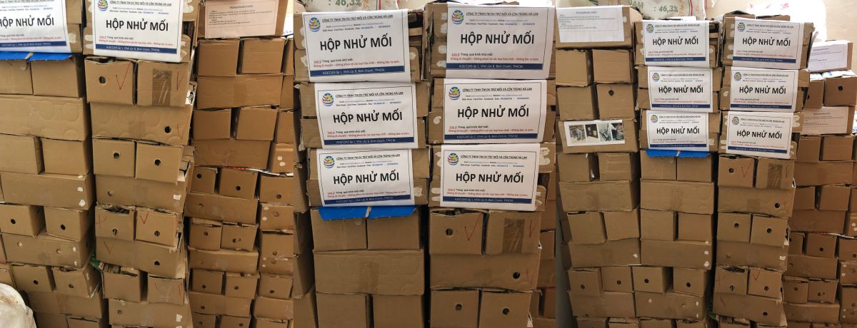 Hộp Nhử Mối Hà Lan