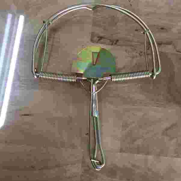 BẪY CHUỘT BÁN NGUYỆT