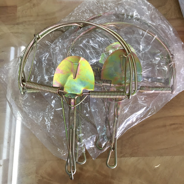 BẪY CHUỘT BÁN NGUYỆT