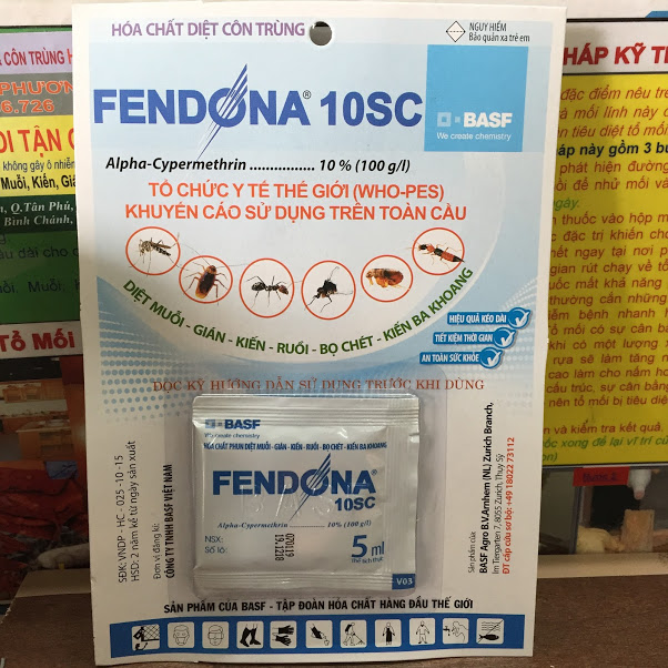 DIỆT MỐI QUẬN TÂN PHÚ