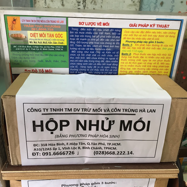 hộp nhử mối