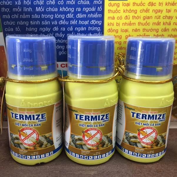 Thuốc Trừ Mối Termize 200sc (chai 50ml)