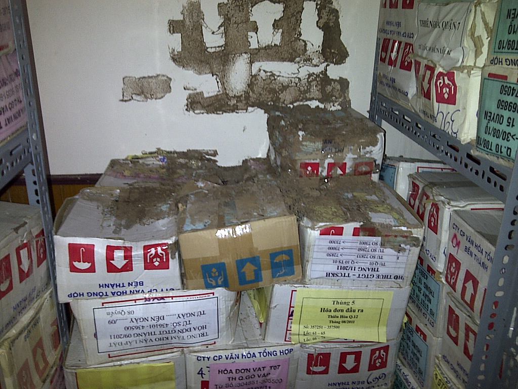 DỊCH VỤ DIỆT MỐI TẠI TPHCM