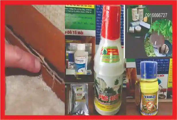 5 LOẠI THUỐC TRỪ MỐI TẬN GỐC