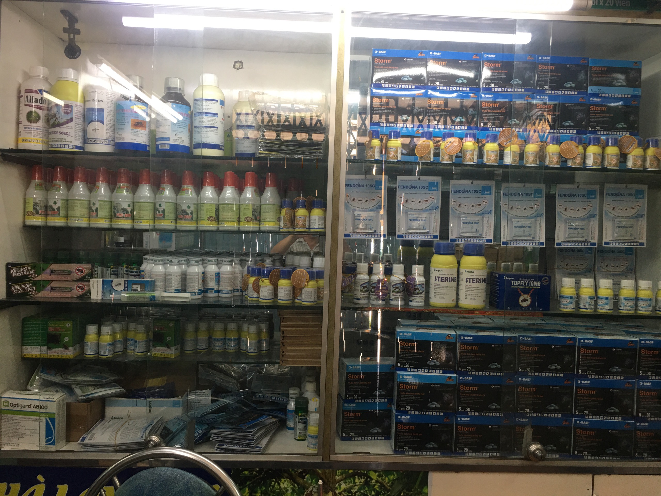 DỊCH VỤ DIỆT MỐI QUẬN 12