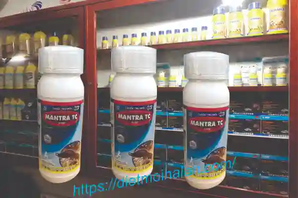 Thuốc Chống Mối Thế Hệ Mới 2022