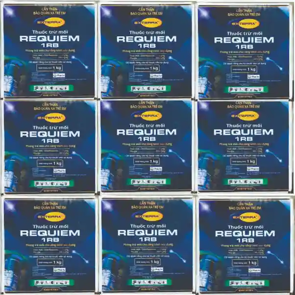 BẢ REQUIEM 1RB