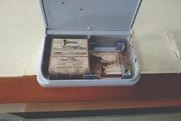 Japanese termite extermination method