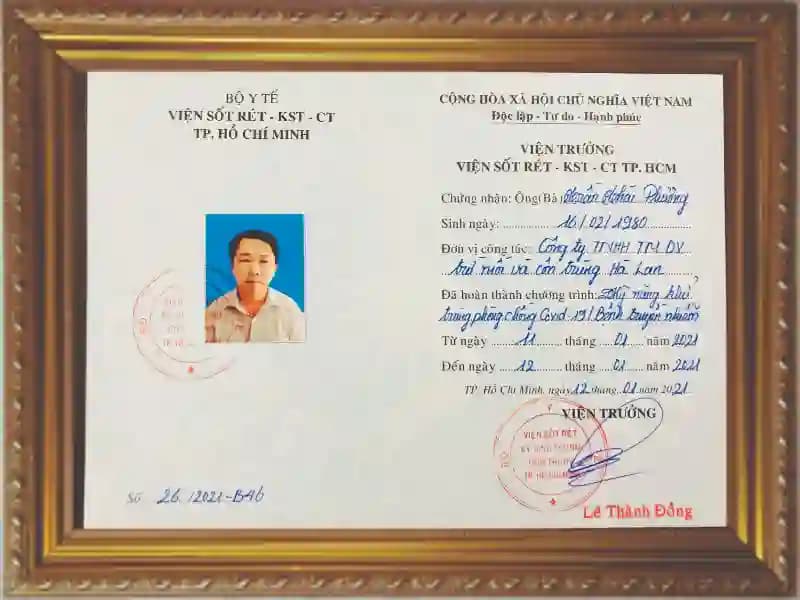 Chứng chỉ khử trùng diệt mối