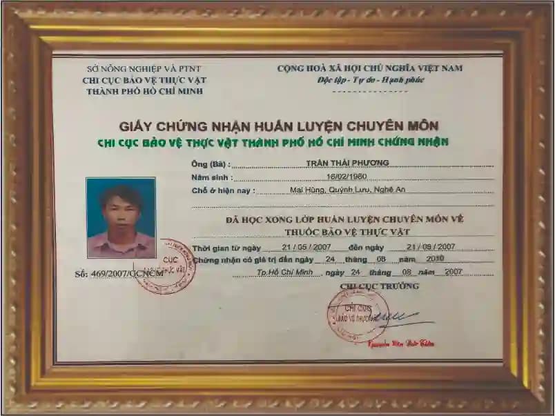 Chứng chỉ chuyên môn diệt mối