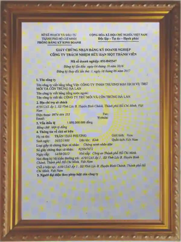 Giấy phép trụ sở