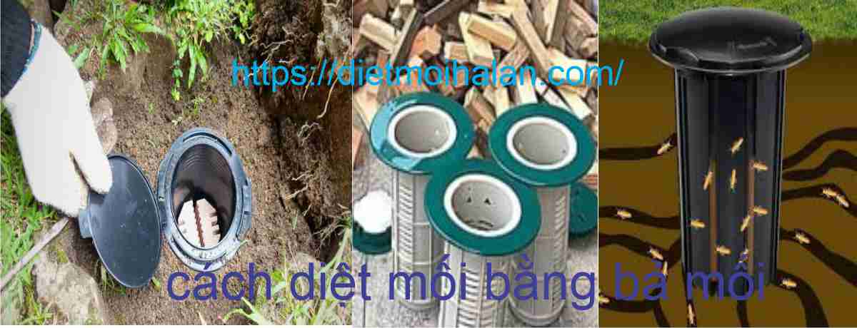 cách diệt mối bằng bả mối