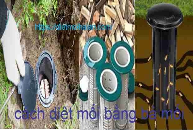Diệt Mối Bằng Bả Mối