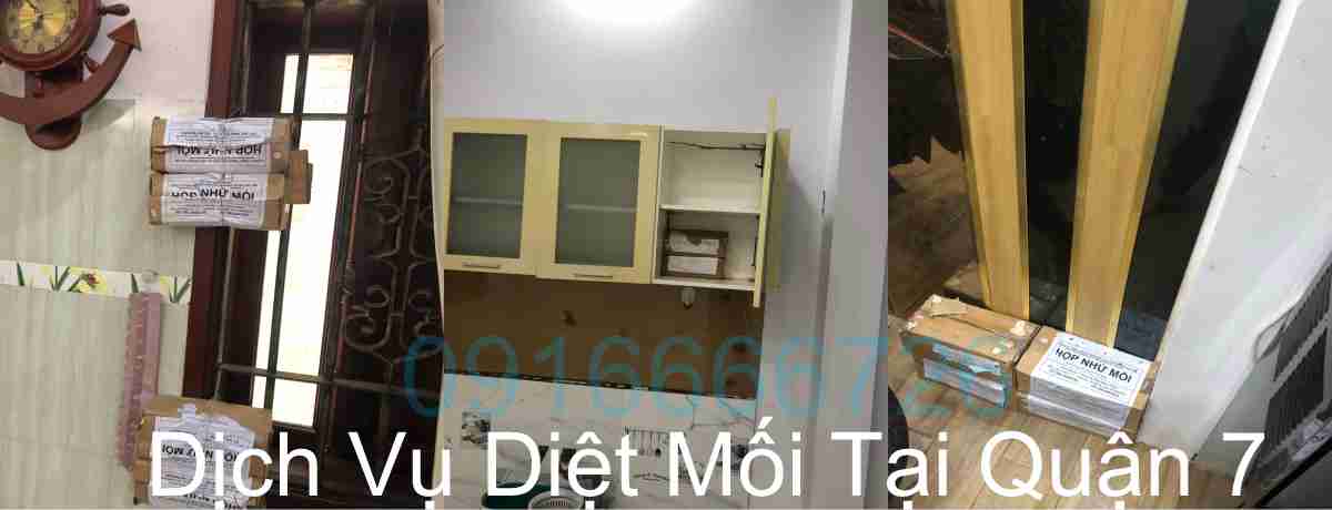 Dịch Vụ Diệt Mối Tại Quận 7