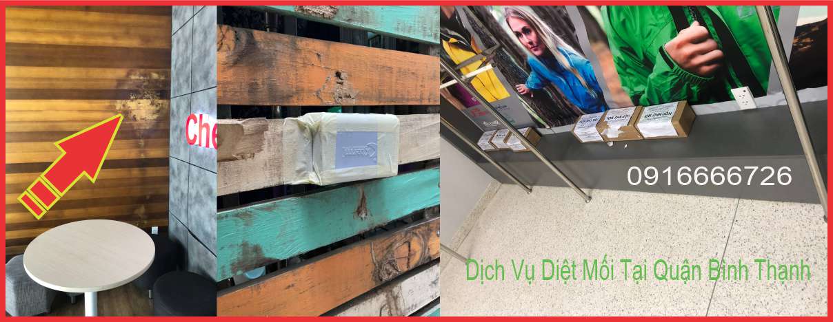 Dịch Vụ Diệt Mối Tại Quận Bình Thạnh