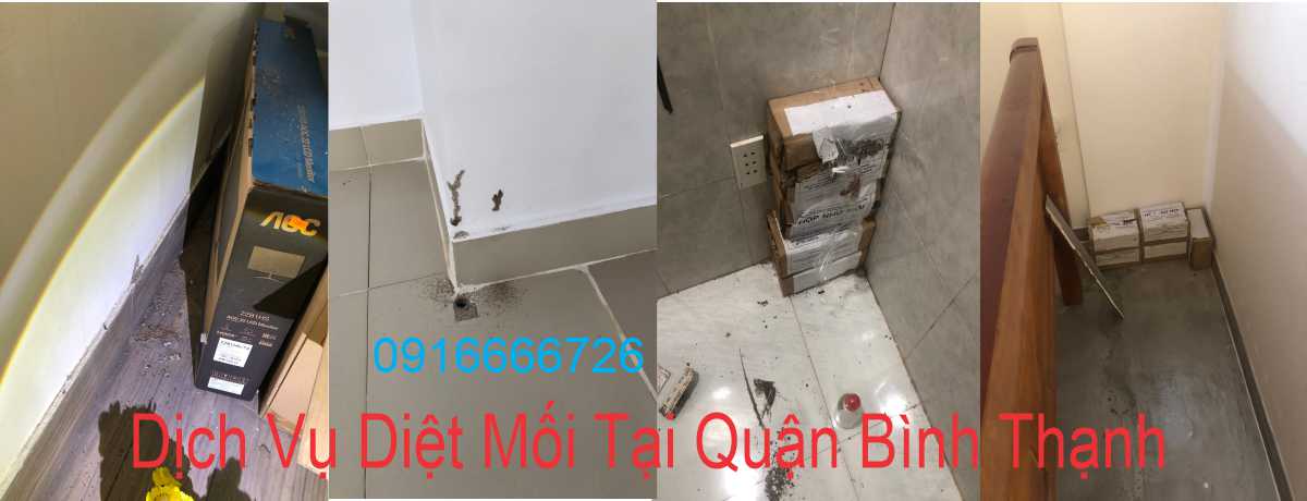 Dịch Vụ Diệt Mối Tại Quận Bình Thạnh