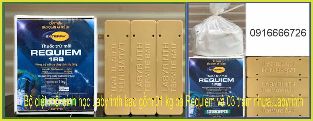 Labyrinth biological termite exterminator