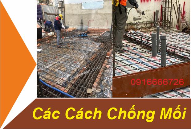 Top 7 Cách Chống Mối