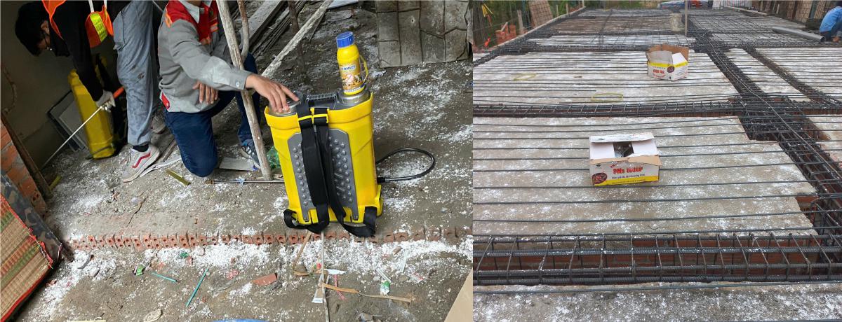 Dịch Vụ Phòng Chống Mối Tại Quận 10