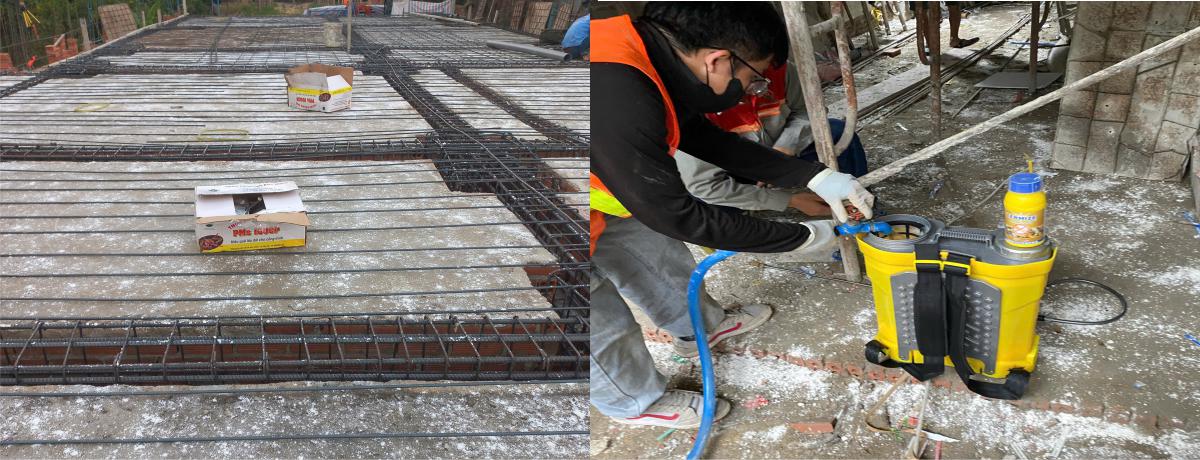 Dịch Vụ Phòng Chống Mối Tại Quận 11