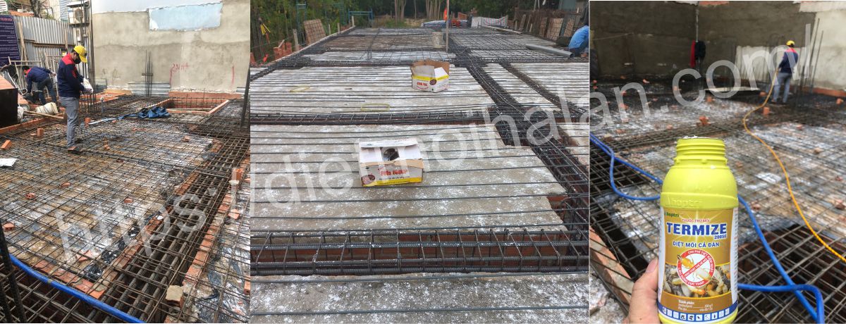 Cách Chống Mối Bằng Hóa Chất