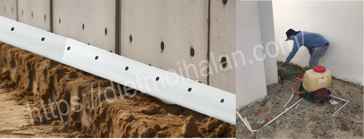 Cách Chống Mối Bằng ống nhựa