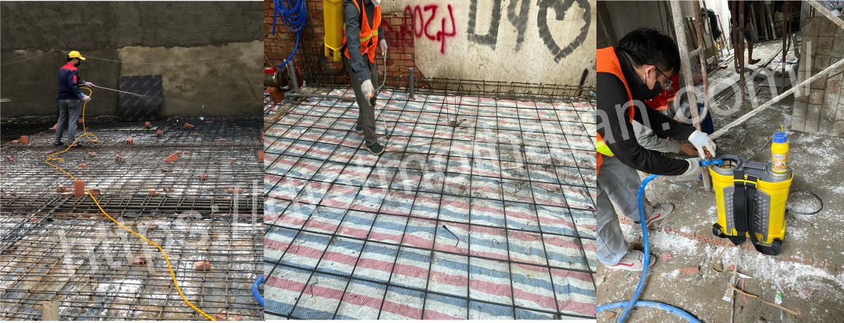 Cách Phòng Chống Mối Bằng Hóa Chất