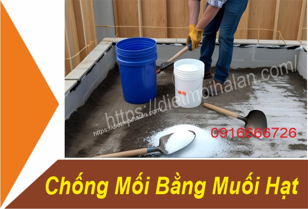 Phòng Chống Mối Bằng Muối Hạt