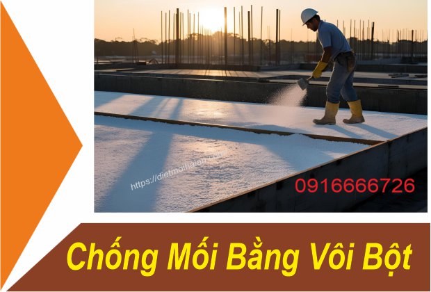Phòng Chống Mối Bằng Vôi Bột