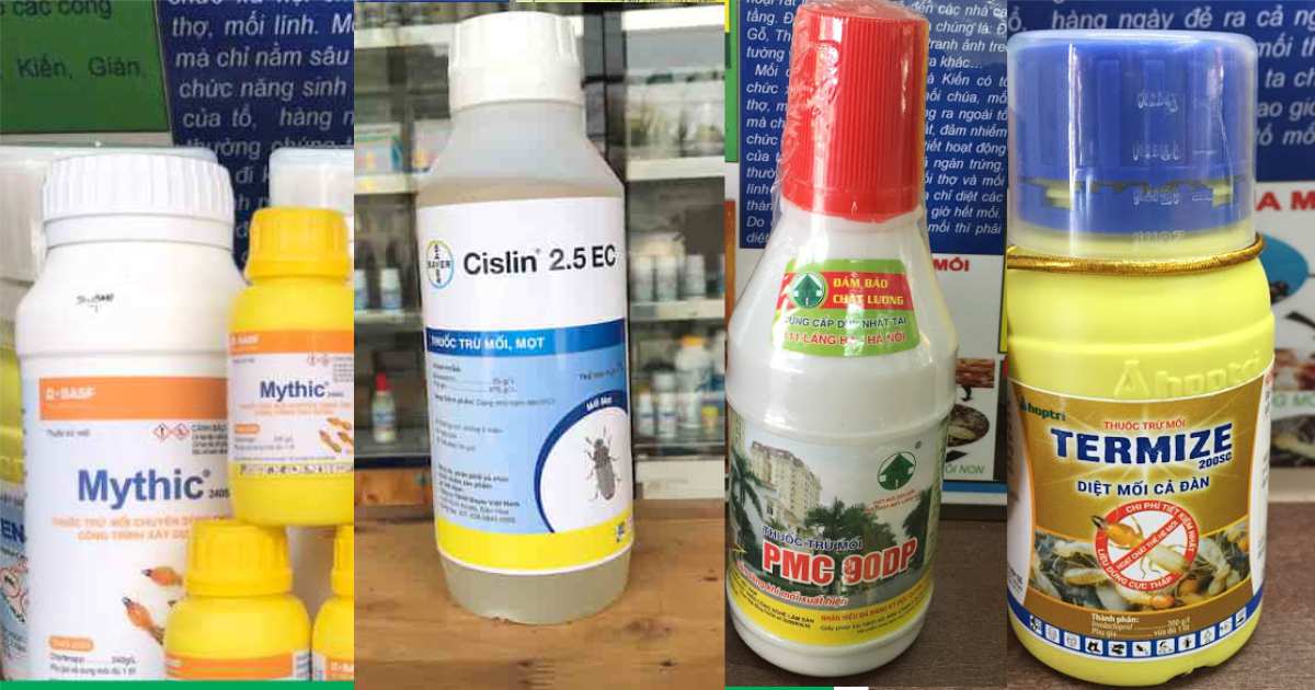 Thuốc Diệt Mối