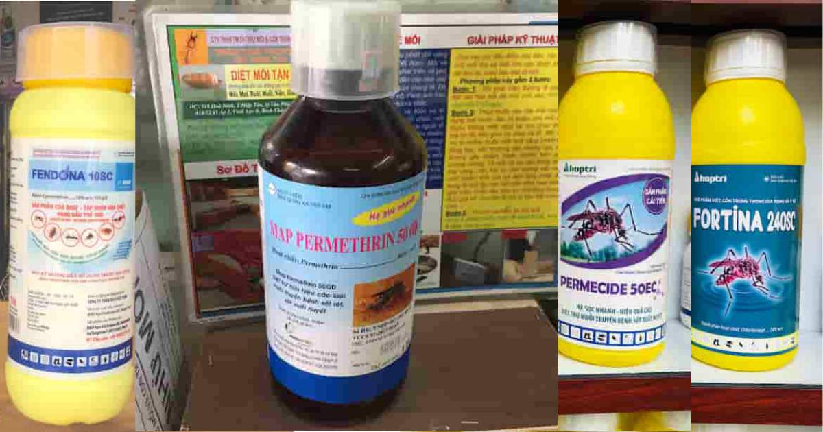 Thuốc Kiến Ba Khoang