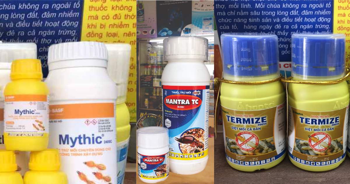 Thuốc Phòng Chống Mối