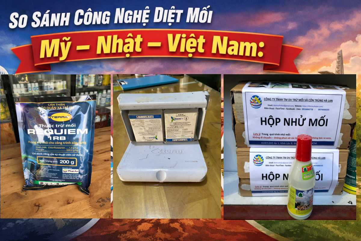 So Sánh Công Nghệ Diệt Mối Mỹ – Nhật – Việt Nam: Nên Chọn Phương Pháp Nào?