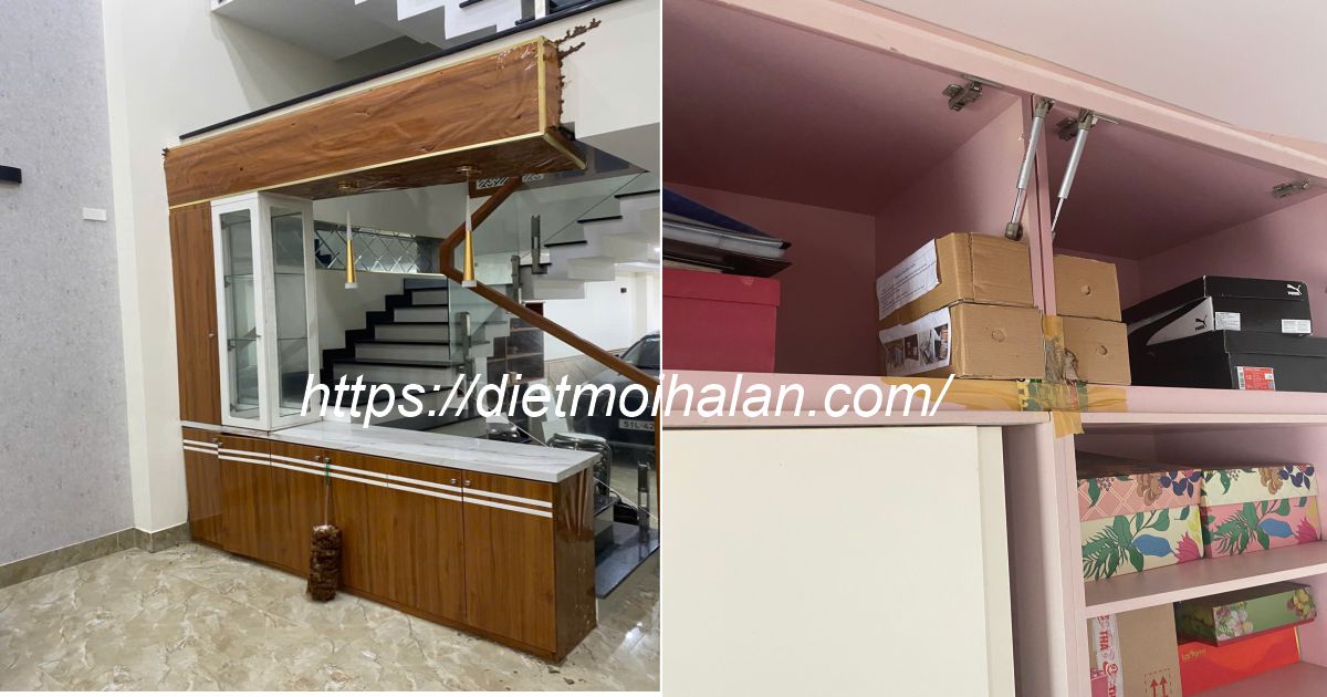 Phương Pháp Diệt Mối Mới Hiệu Quả Tận Gốc