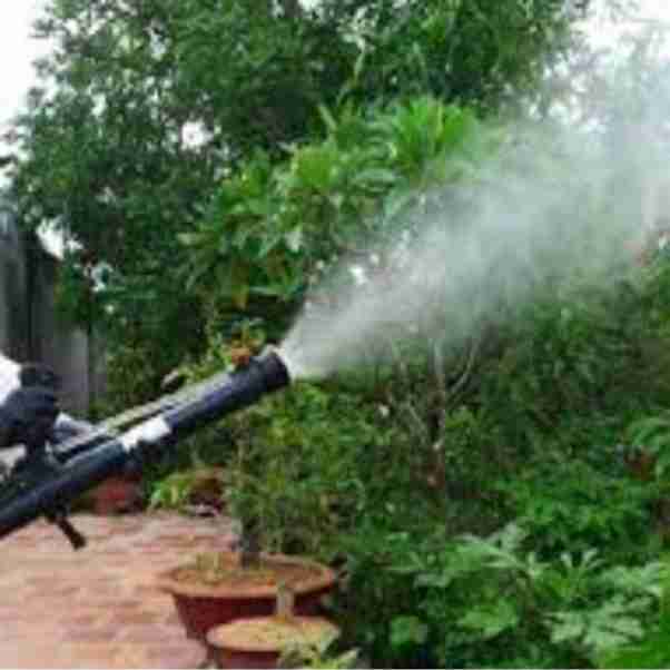 cách phun thuốc diệt muỗi