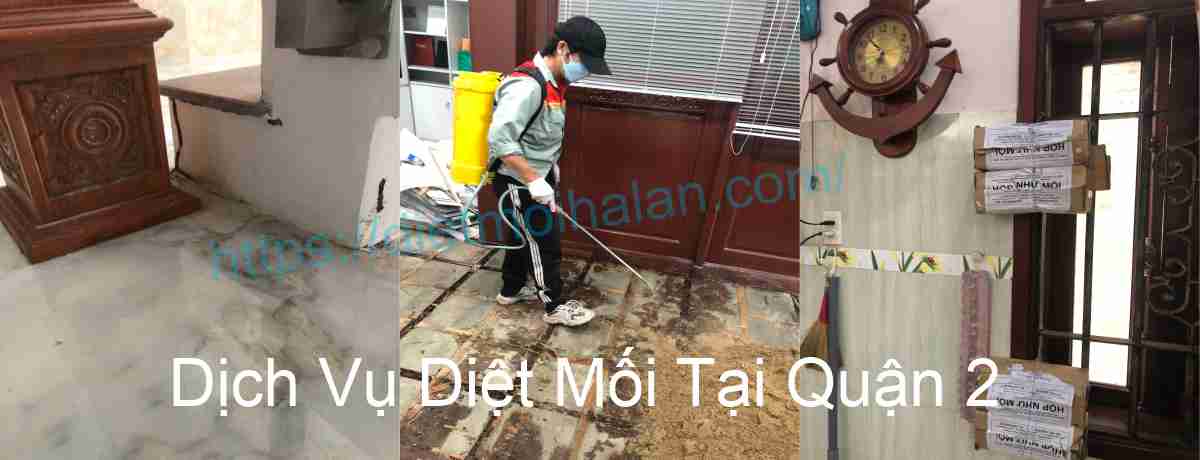 Dịch Vụ Diệt Mối Tại Quận 2