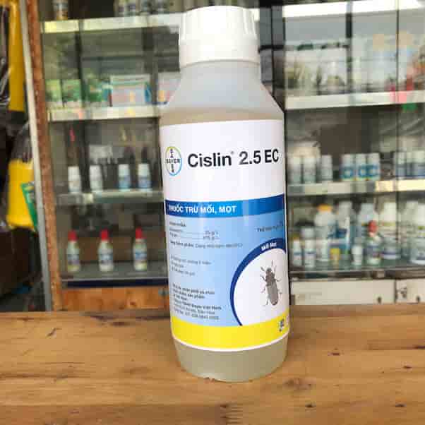 Thuốc diệt mối – mọt Cislin 2.5EC