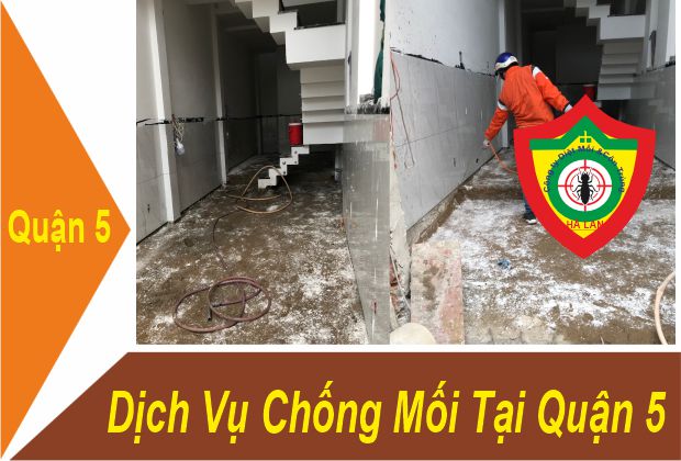 Dịch Vụ Chống Mối Tại Quận 5