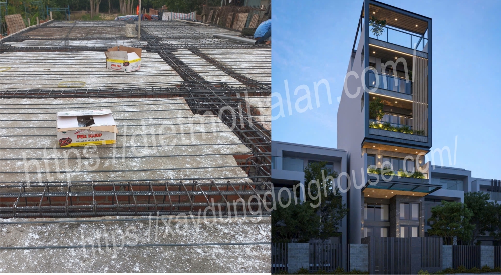 Diệt Mối Hà Lan Hợp Tác Cùng Xây Dựng Đông House phòng chống mối công trình xây mới